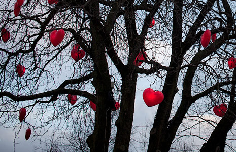 安卓ddos攻击工具